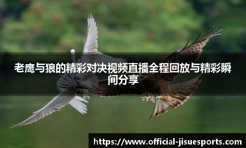 老鹰与狼的精彩对决视频直播全程回放与精彩瞬间分享